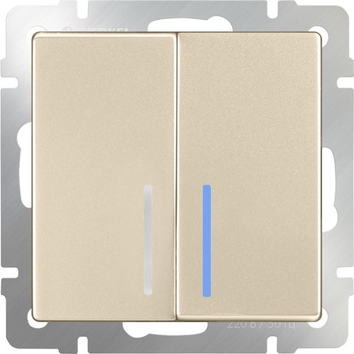 Выключатель с подсветкой без рамки Werkel 2-кл. шампань металик фото фото 2 Выключатель с подсветкой без рамки Werkel 2-кл. шампань металик картинка фото 2