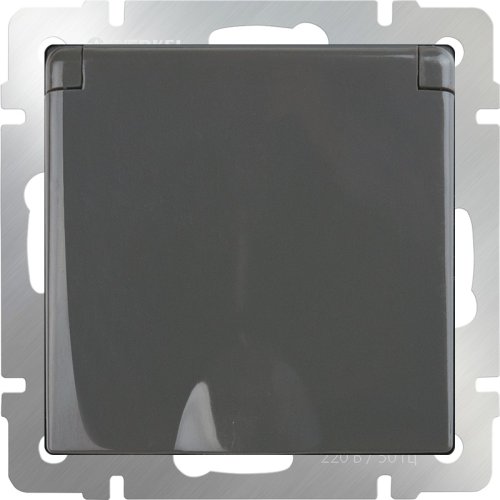 Розетка с заземлением без рамки Werkel 1-м. крышка шторки IP44 серо-коричневый глянцевый картинка фото 2