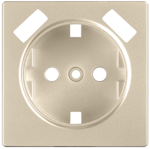 Лицевая панель Werkel для 1-м. розетки 220В+2хUSB шампань металик картинка фото 2