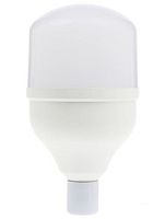 Лампа светодиодная Smartbuy-HP E27 220В 50Вт 6500К картинка 