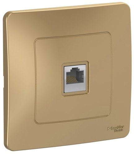 Розетка компьютерная с рамкой Systeme Electric Blanca 1-м. RJ45 5e титан картинка