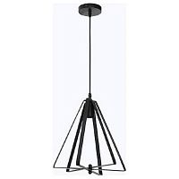 Светильник подвесной Лофт Horoz 021-011-0001 E27 1м Черный  картинка 