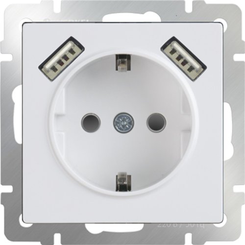Розетка с заземлением +2хUSB тип A+A без рамки Werkel 1-м. шторки белый глянцевый картинка фото 2
