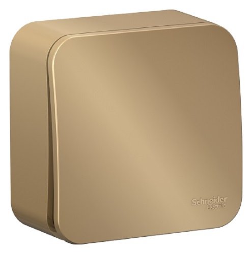 Переключатель накладной Systeme Electric Blanca 1-кл. проходной титан фото фото 2 Переключатель накладной Systeme Electric Blanca 1-кл. проходной титан картинка фото 2