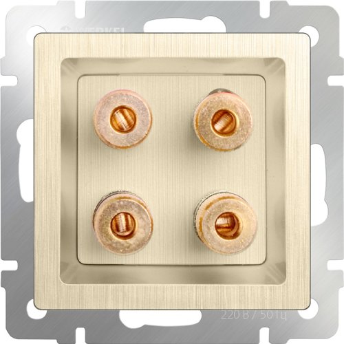 Розетка аудио без рамки Werkel 2-м. шампань рифленый фото фото 2 Розетка аудио без рамки Werkel 2-м. шампань рифленый картинка фото 2