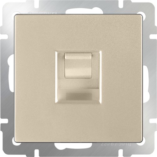 Розетка компьютерная без рамки Werkel 1-м. RJ45 5e шампань металлик фото фото 2 Розетка компьютерная без рамки Werkel 1-м. RJ45 5e шампань металлик картинка фото 2
