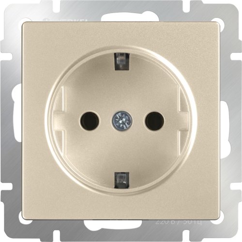 Розетка с заземлением без рамки Werkel 1-м. шторки шампань металлик картинка фото 2