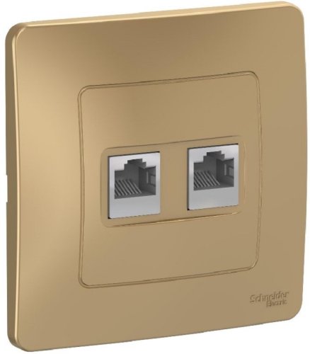 Розетка компьютерная с рамкой Systeme Electric Blanca 2-м. RJ45+RJ45 5e титан картинка