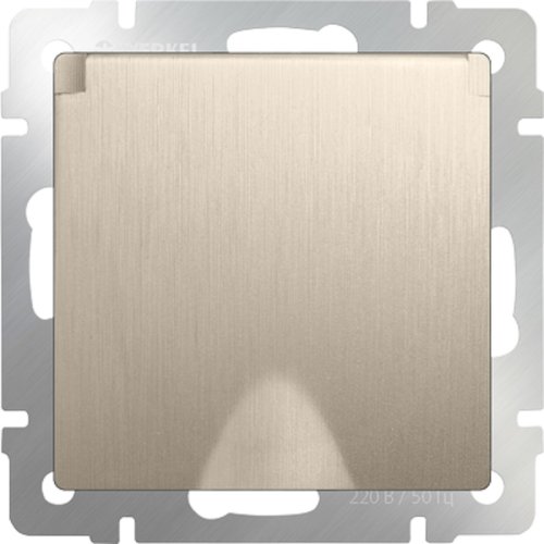 Розетка с заземлением без рамки Werkel 1-м. крышка шторки IP44 шампань рифленый картинка фото 2