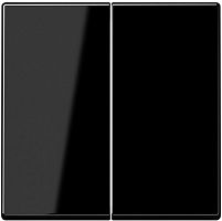 Лицевая панель Jung A creation для 2-кл. выключателя черный картинка