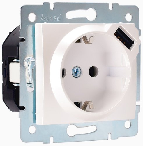 Розетка с заземлением +1хUSB без рамки Lezard Karina 1-м. жемчужно-белый/перламутр фото Розетка с заземлением +1хUSB без рамки Lezard Karina 1-м. жемчужно-белый/перламутр картинка