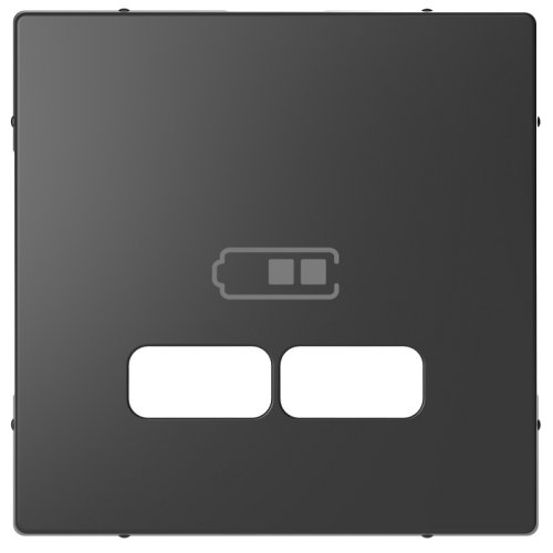 Лицевая панель Schneider Electric Merten D-Life для 2-м. розетки USB антрацит картинка