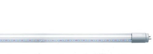 Фито-лампа светодиодная для растений Эра T8 G13 220В 18Вт 1200мм красно-синего спектра картинка 