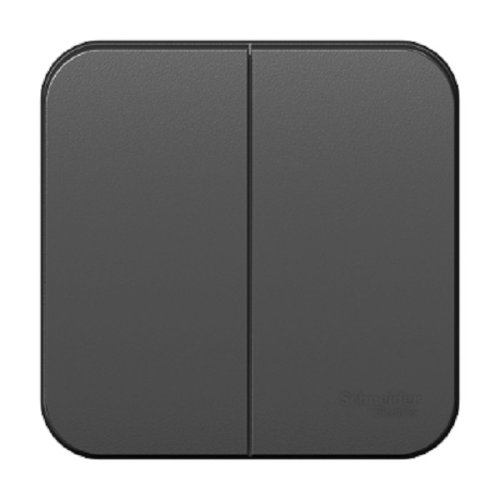 Выключатель накладной Systeme Electric Blanca 2-кл. без пластины антрацит картинка фото 2