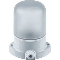 Светильник банный Navigator НПБ 400 NBL-SA1-60-E27-WH Белый IP54 картинка 