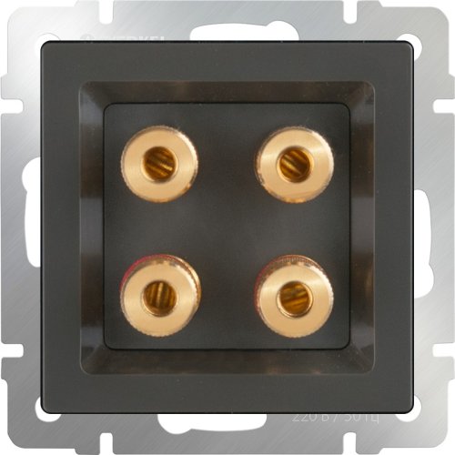 Розетка аудио без рамки Werkel 2-м. серо-коричневый глянцевый фото фото 2 Розетка аудио без рамки Werkel 2-м. серо-коричневый глянцевый картинка фото 2