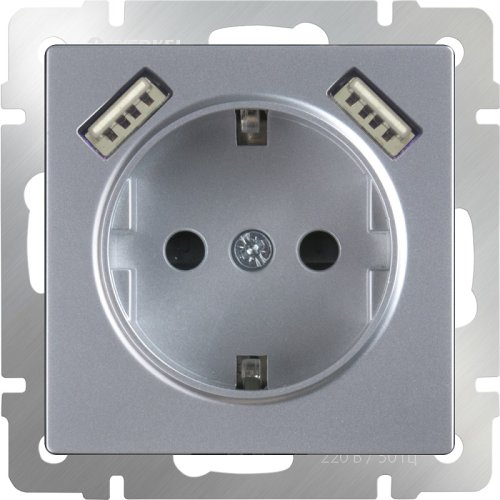 Розетка с заземлением +2хUSB тип A+A без рамки Werkel 1-м. шторки серебряный глянцевый картинка фото 2