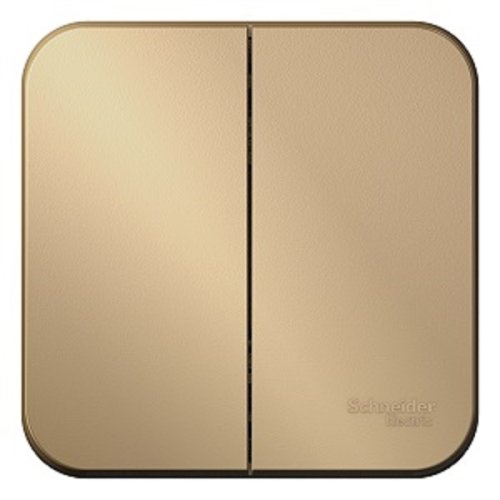 Выключатель накладной Systeme Electric Blanca 2-кл. титан картинка фото 2