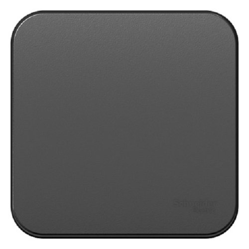 Выключатель накладной Systeme Electric Blanca 1-кл. антрацит картинка фото 2