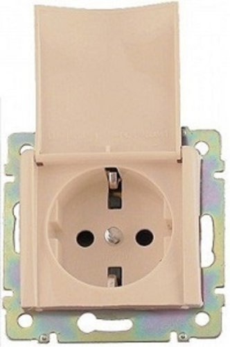 Розетка с заземлением без рамки Legrand Valena 1-м. крышка шторки слоновая кость фото фото 2 Розетка с заземлением без рамки Legrand Valena 1-м. крышка шторки слоновая кость картинка фото 2