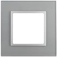 Рамка универсальная Эра Elegance 1-м. стекло алюминий/алюминий картинка