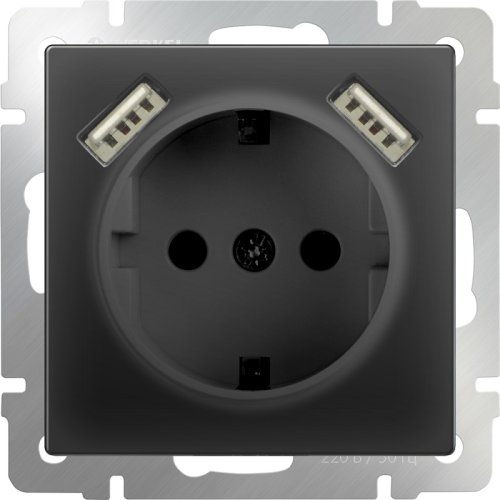 Розетка с заземлением +2хUSB тип A+A без рамки Werkel 1-м. шторки черный матовый картинка фото 2