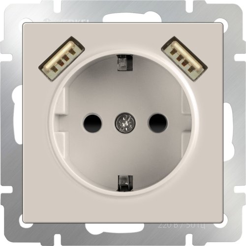 Розетка с заземлением +2хUSB тип A+A без рамки Werkel 1-м. шторки слоновая кость глянцевый картинка фото 2