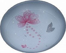 Светильник светодиодный накладной "Цветок" Leek СЛЛ 015 LED 220В 18Вт 6000К Пластик/320мм картинка 