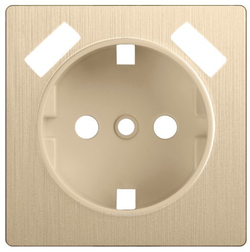 Лицевая панель Werkel для 1-м. розетки 220В+2хUSB шампань рифленый картинка фото 2