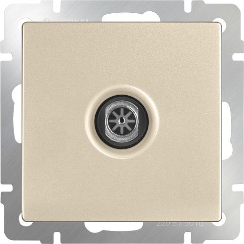 Розетка TV Оконечная без рамки Werkel 1-м. шампань металлик картинка фото 2