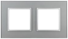Рамка универсальная Эра Elegance 2-м. стекло алюминий/алюминий картинка