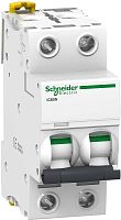 Выключатель автоматический Schneider Electric Acti9 iC60N 2п 10А D 6кА картинка